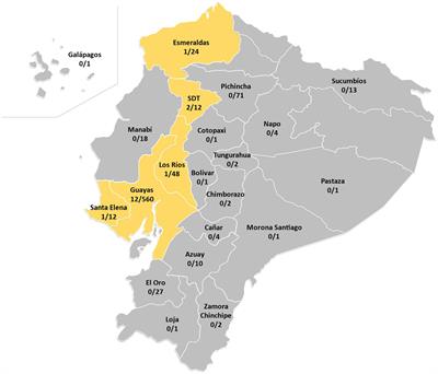 Prevalence, drug resistance, and genotypic diversity of the RDRio subfamily of Mycobacterium tuberculosis in Ecuador: a retrospective analysis for years 2012–2016